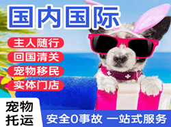 三沙航空托运国际宠物托运 【国